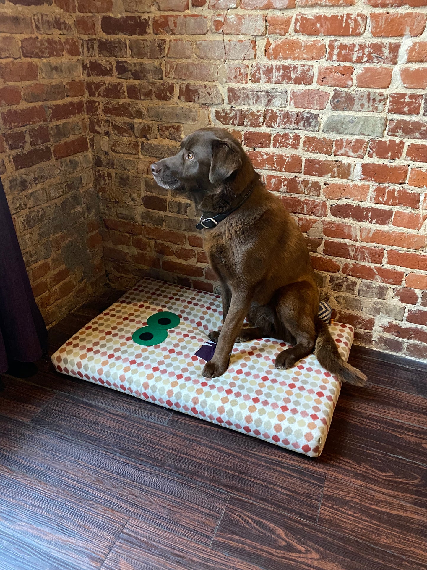Monster Face Foam Dog Bed