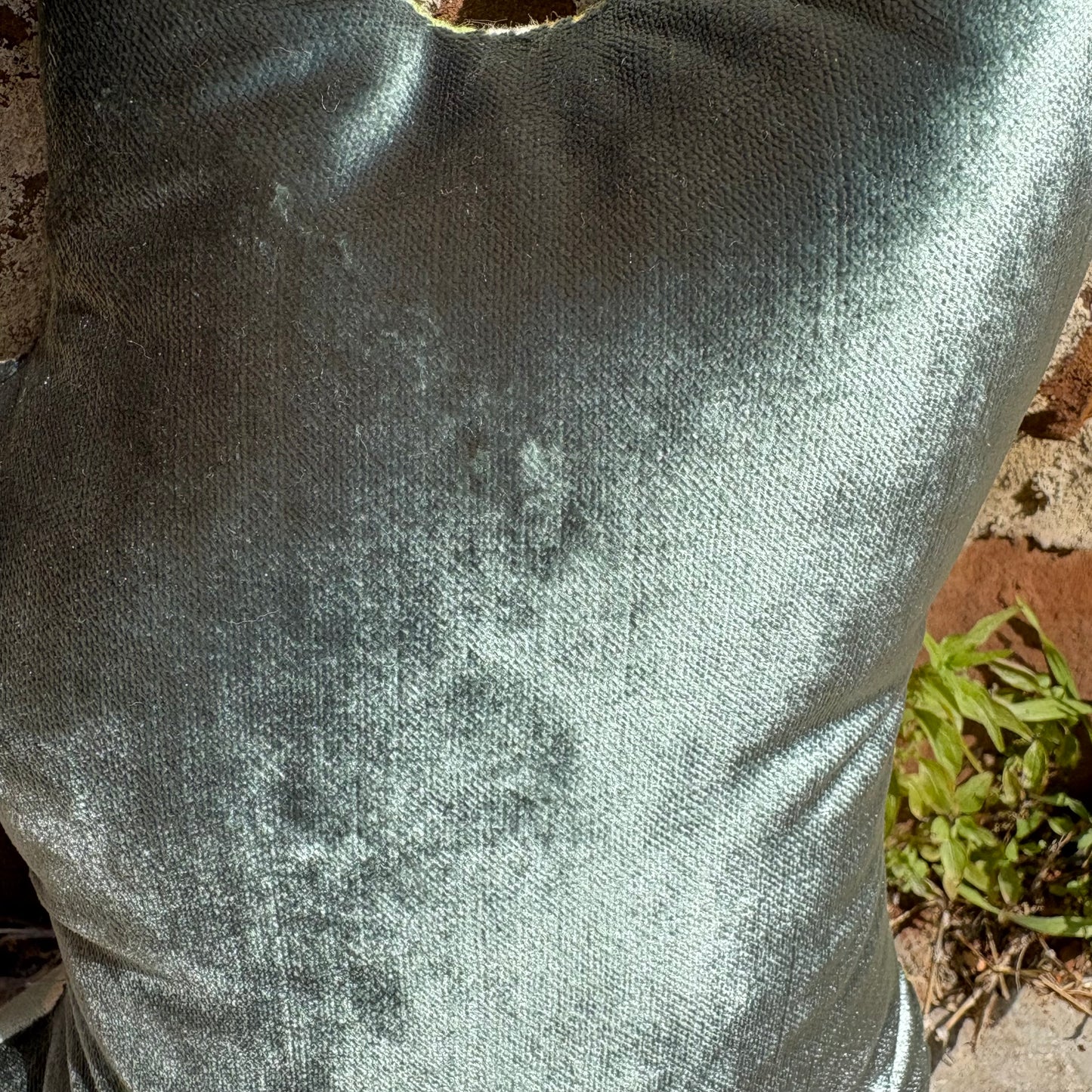 Grommit