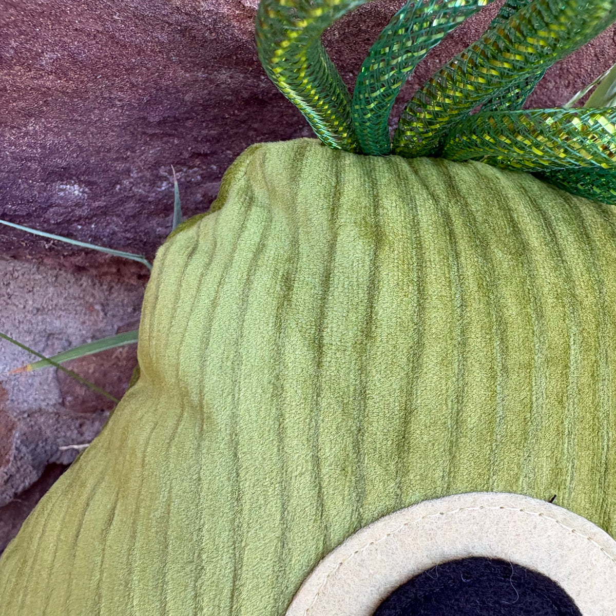 Sam
