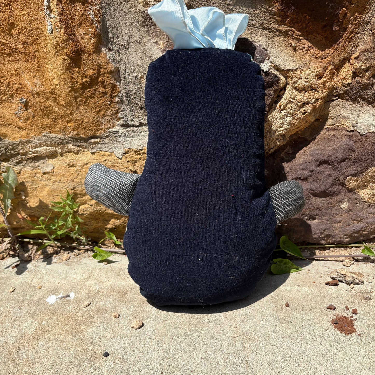 Eevy & Ditty Bag