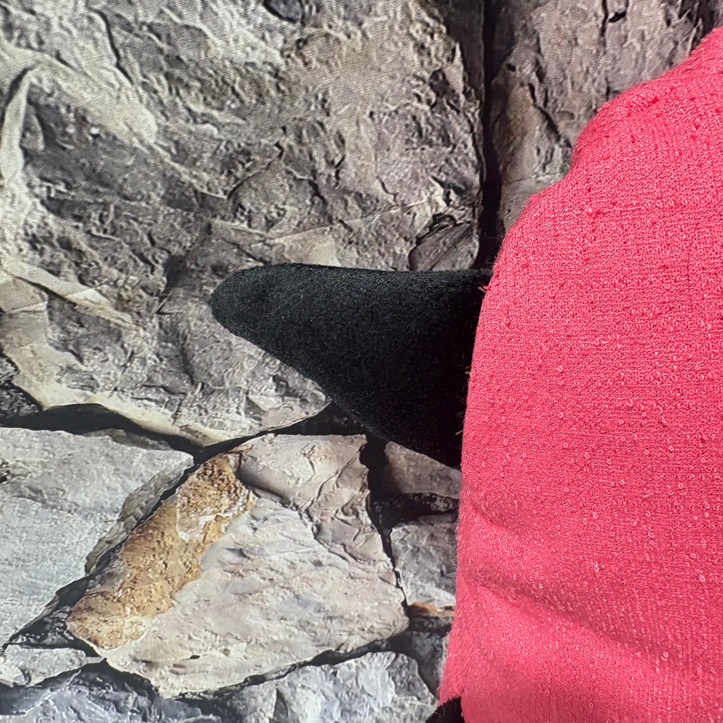 Aaron & Blanket Bundle